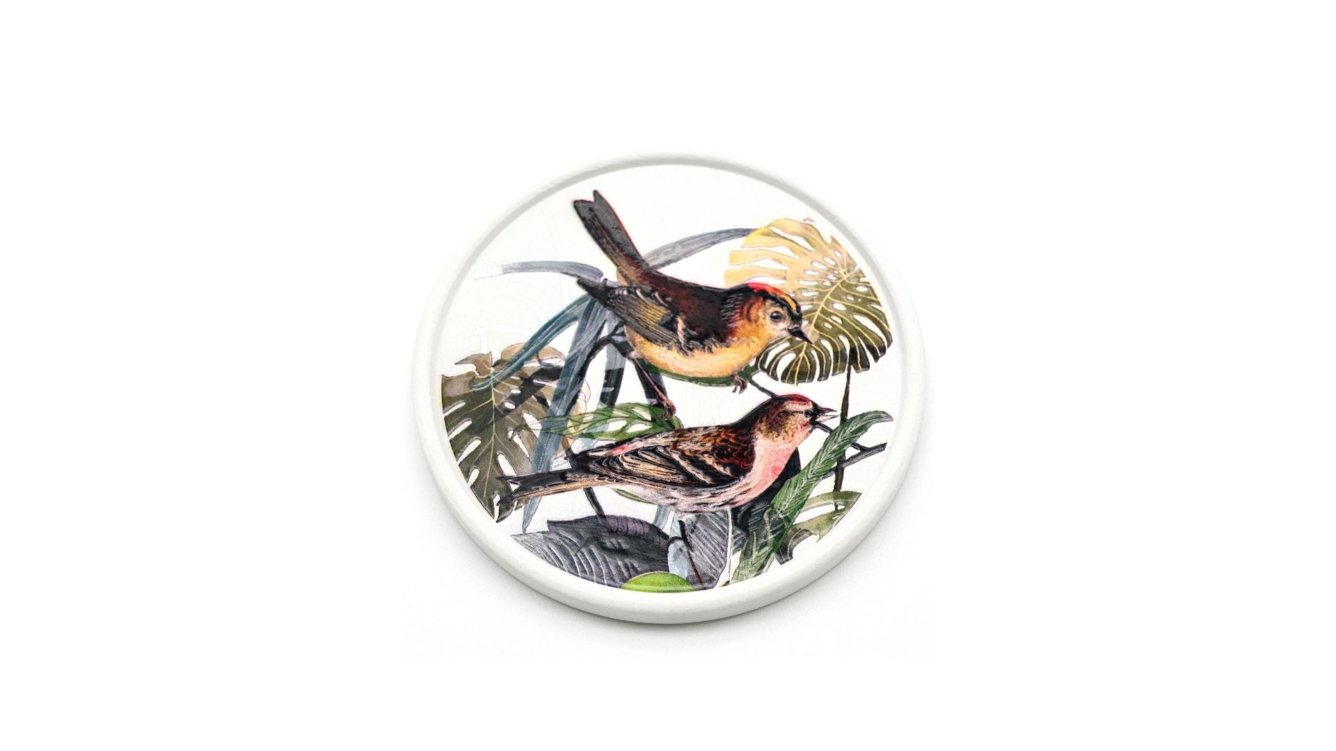 Coasters — Absorbent Round