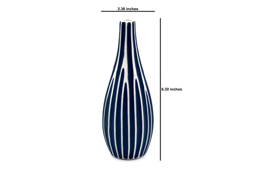 036BL6