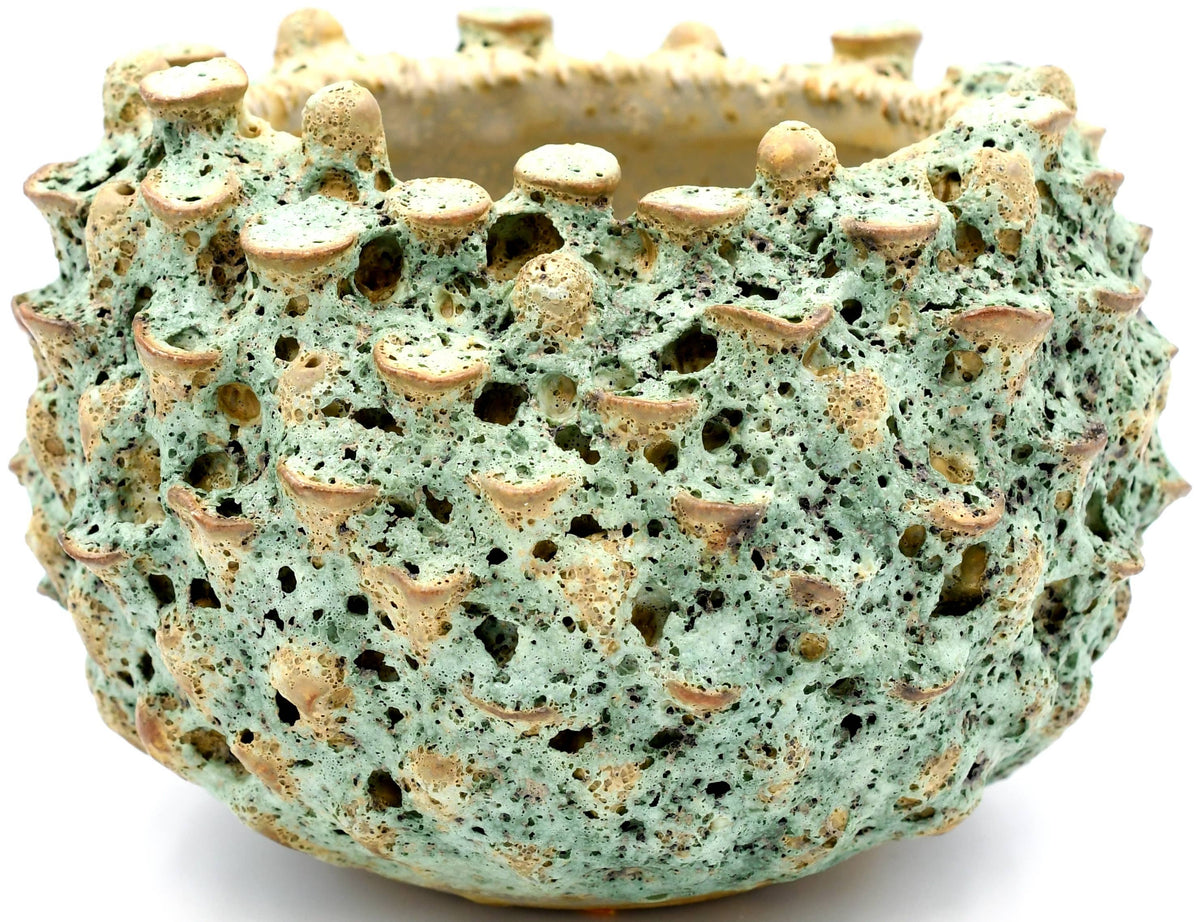 SRI131G SEA ANEMONE - MOSS GREEN