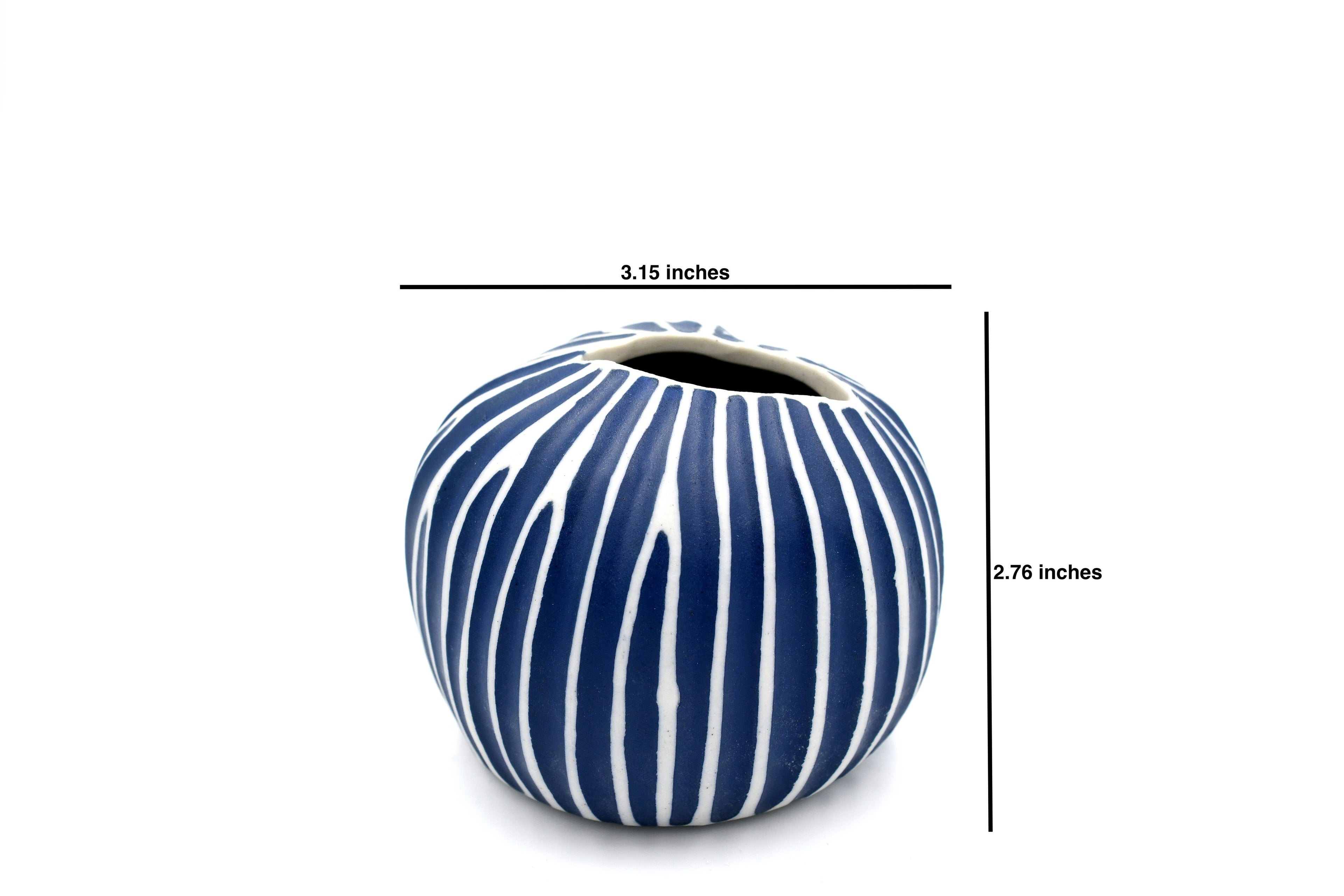 157BL6