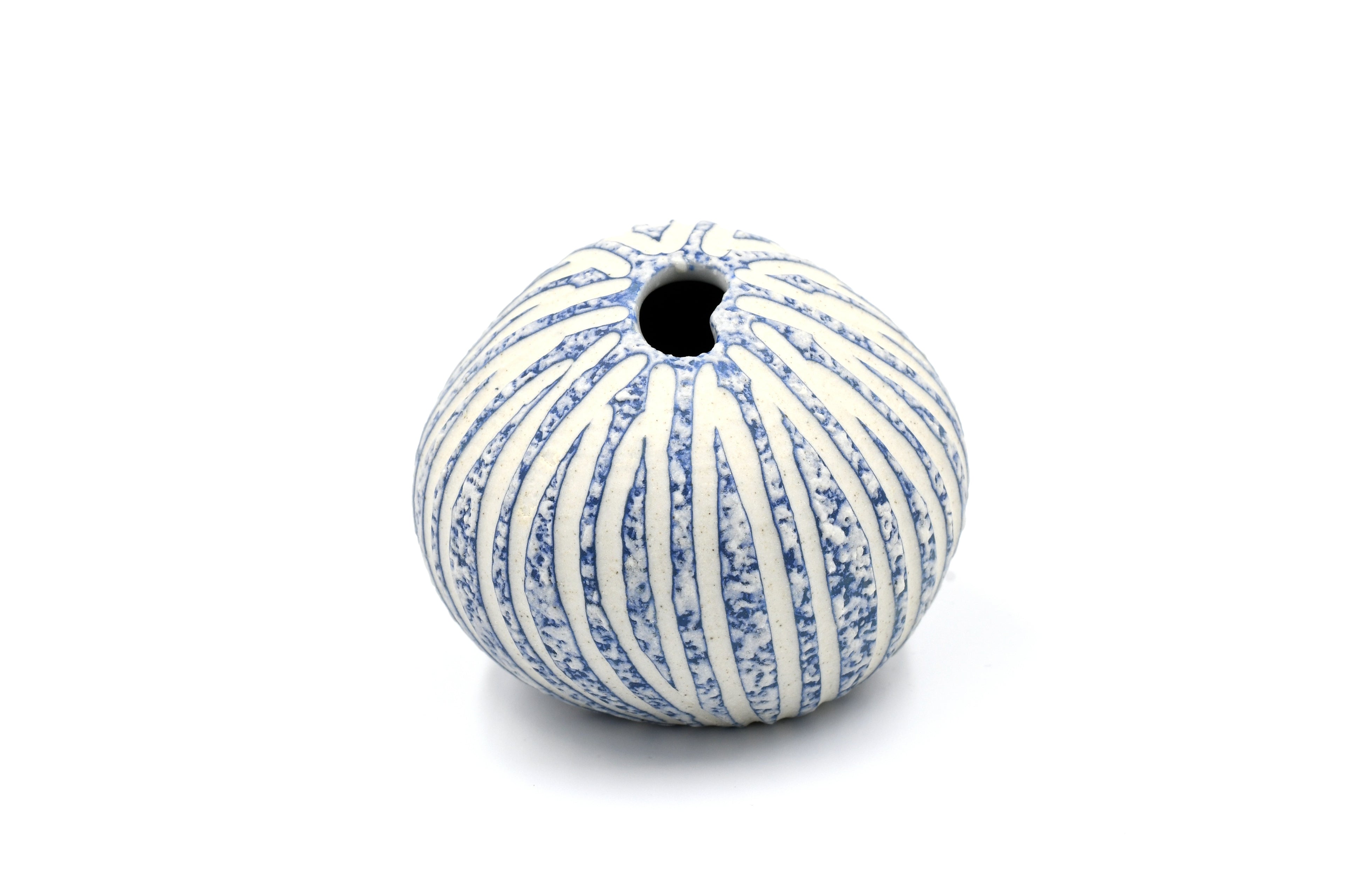 158W16BLUE