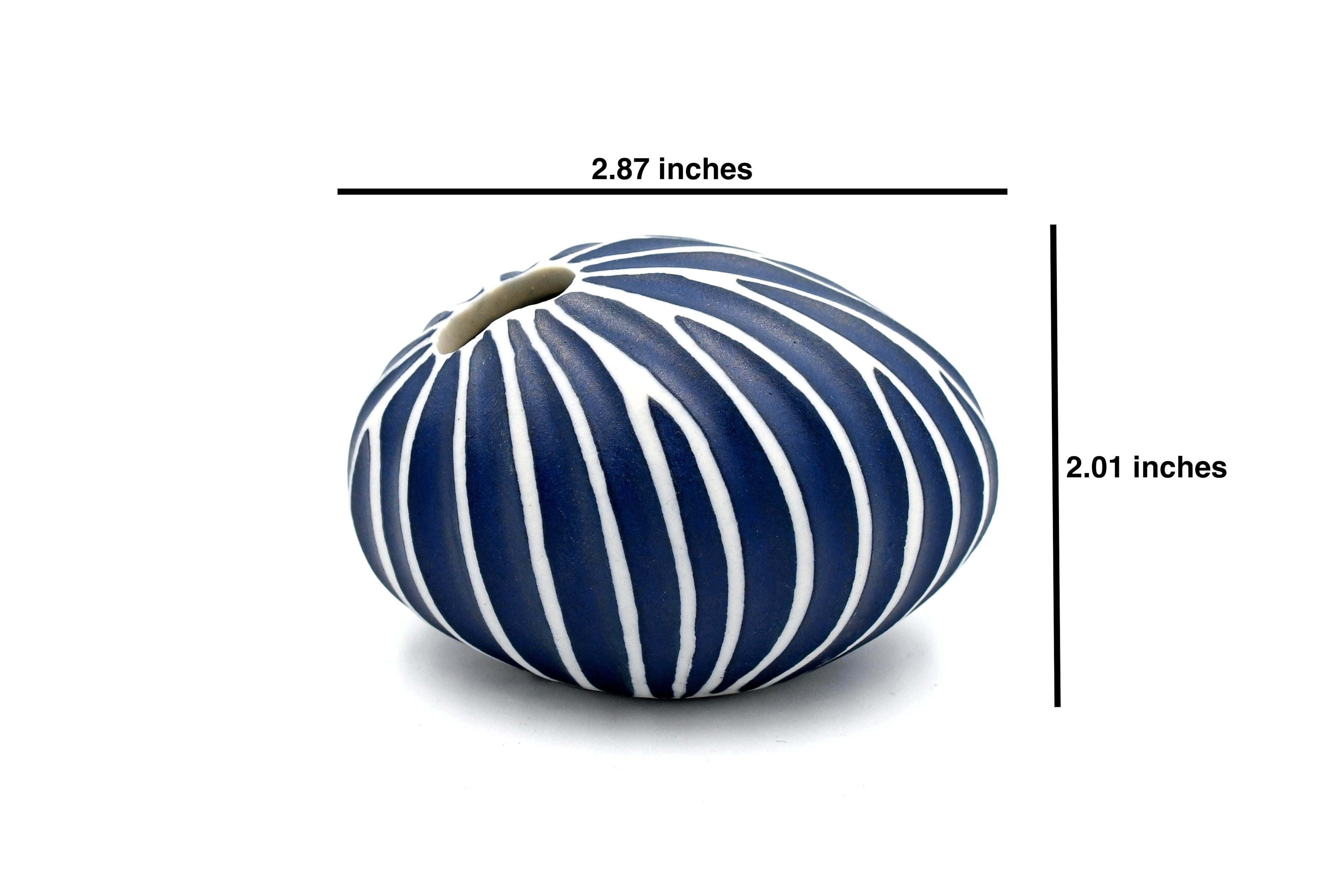 159BL6