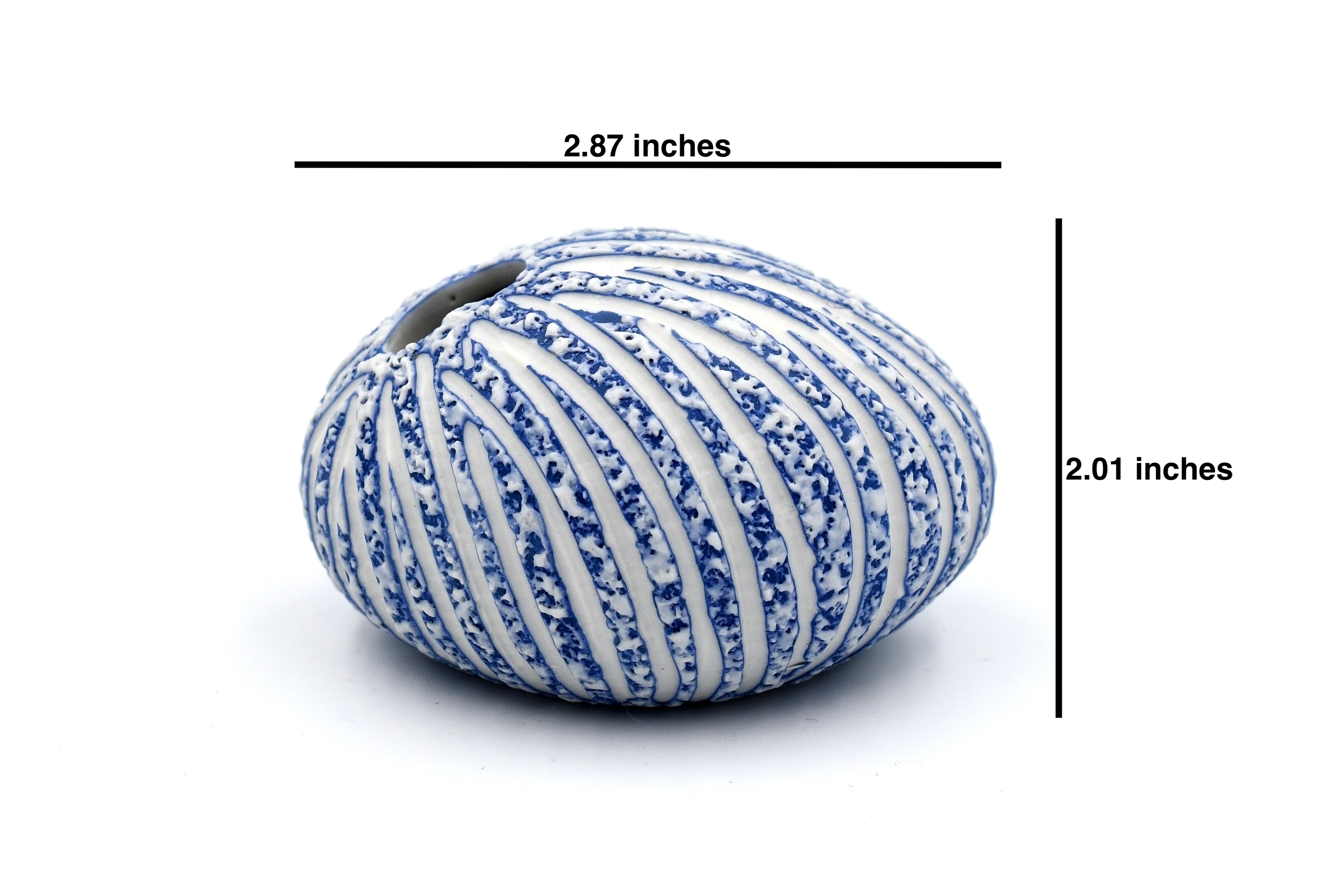 159W16BLUE