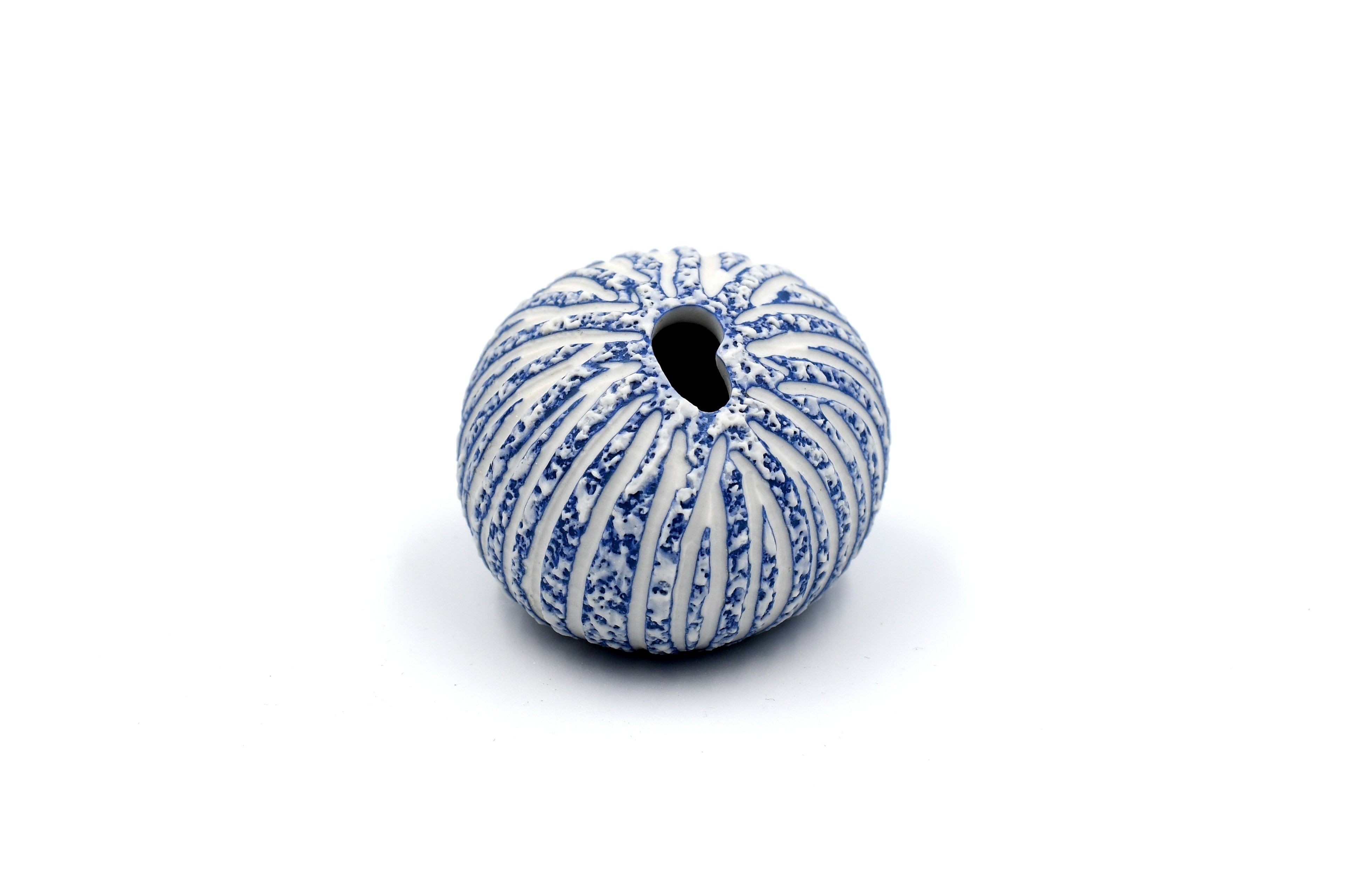 159W16BLUE