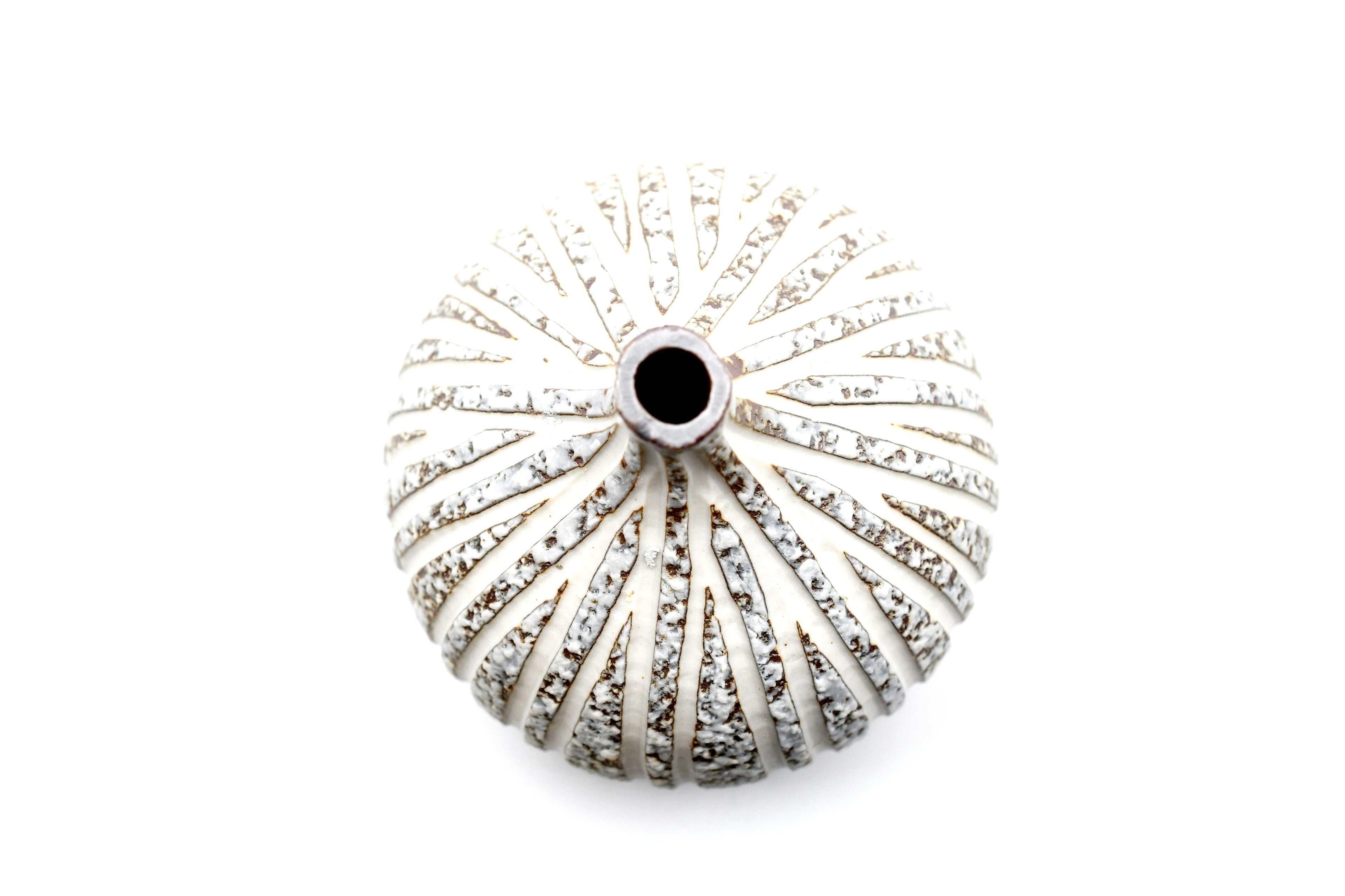 192W16