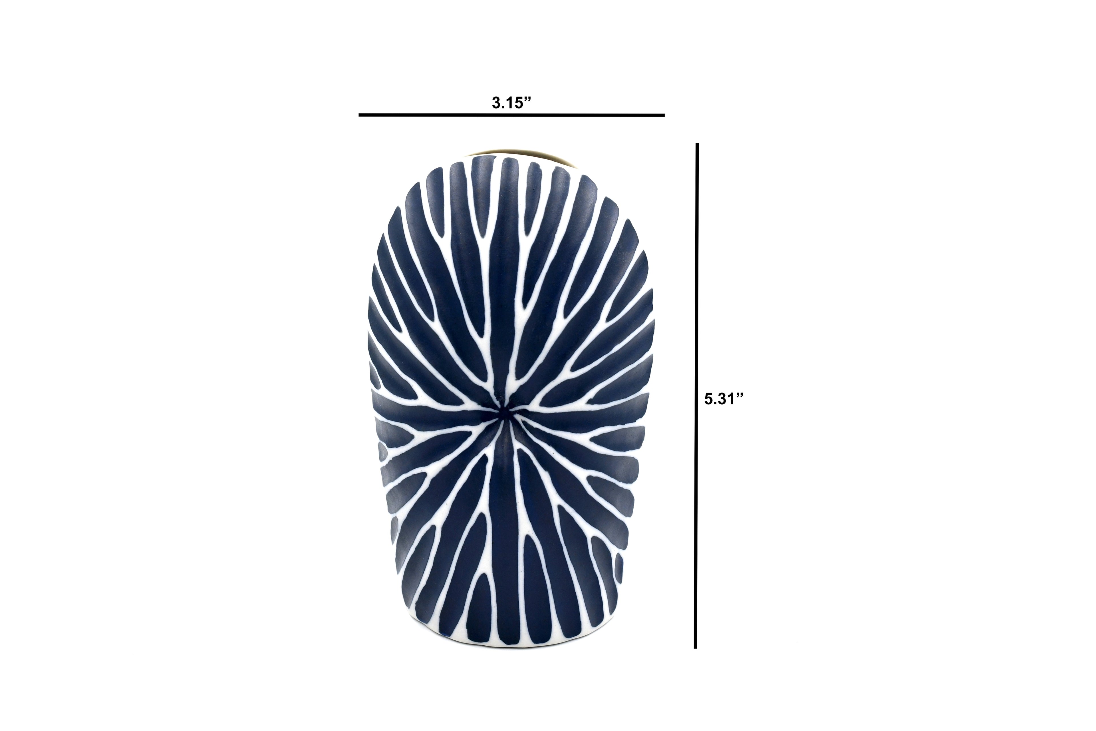 224BL6