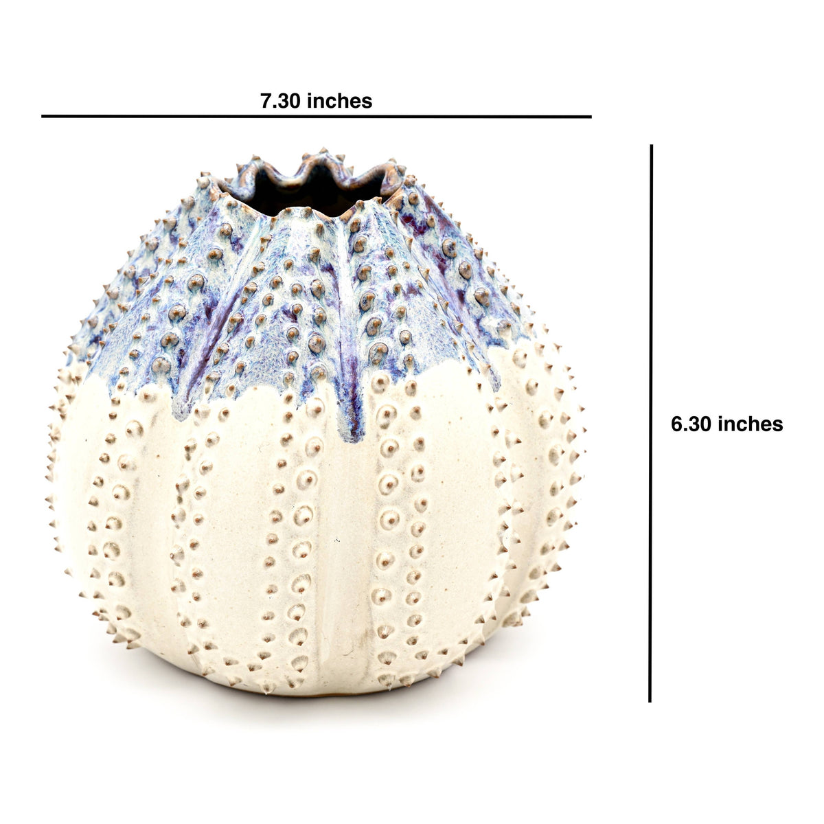 Sea Urchin Medium Vase with Purple Effect