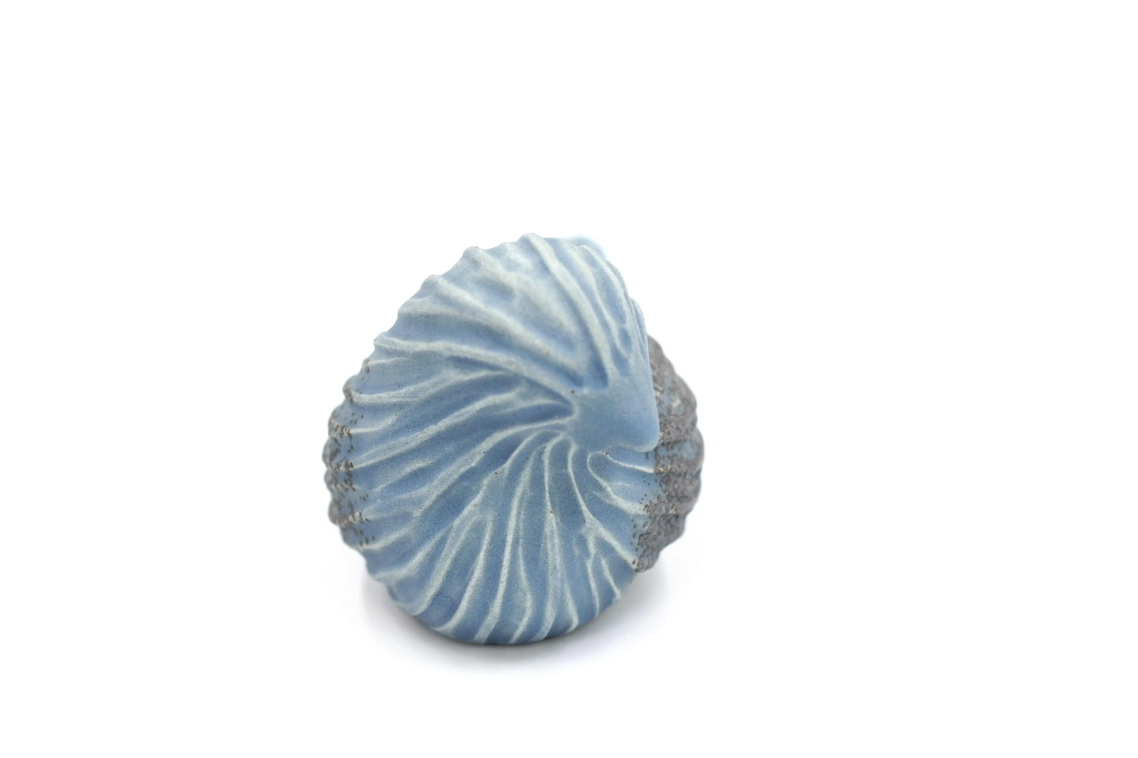 D301ART30BLUE