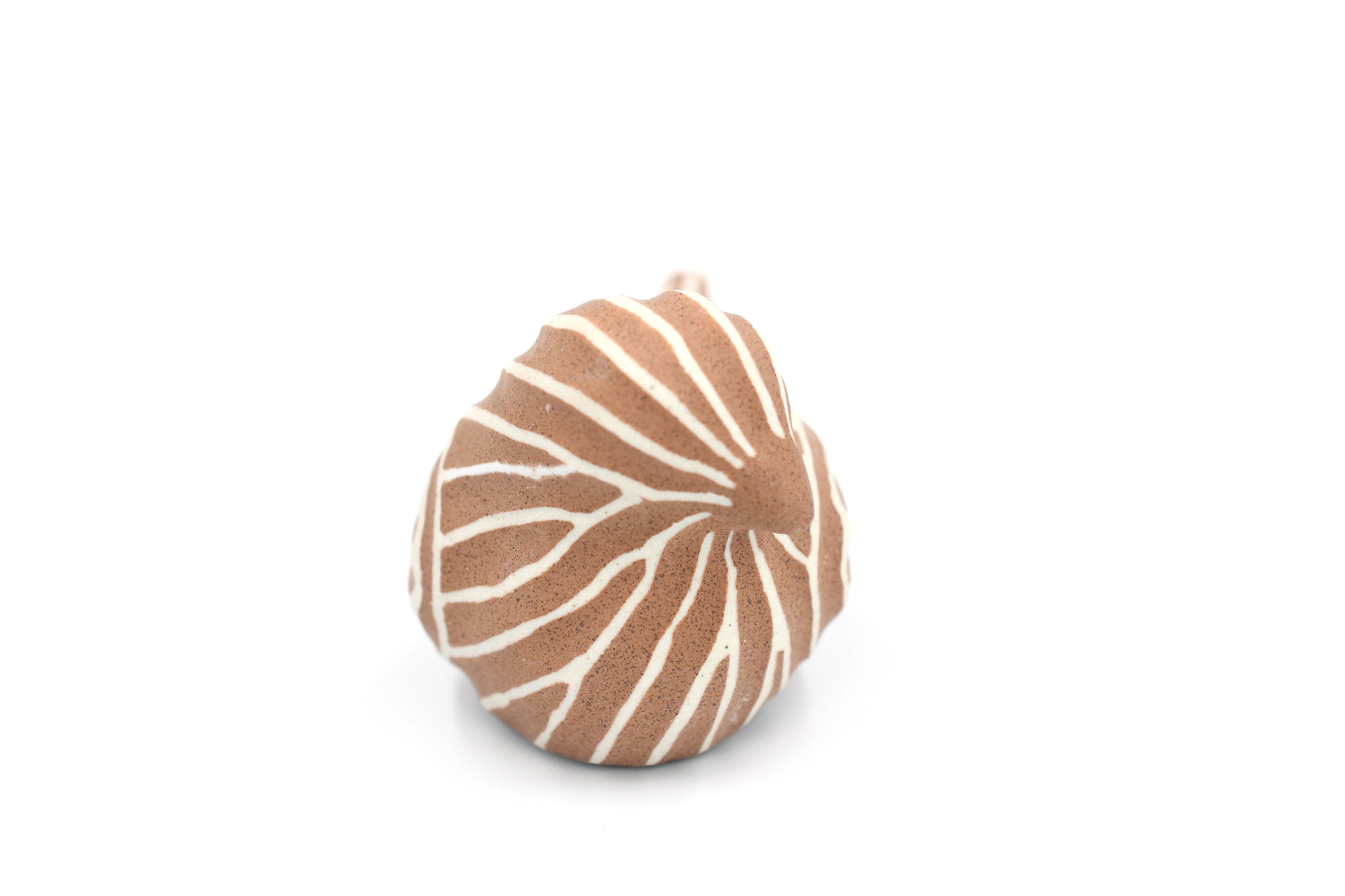 D301TERRA