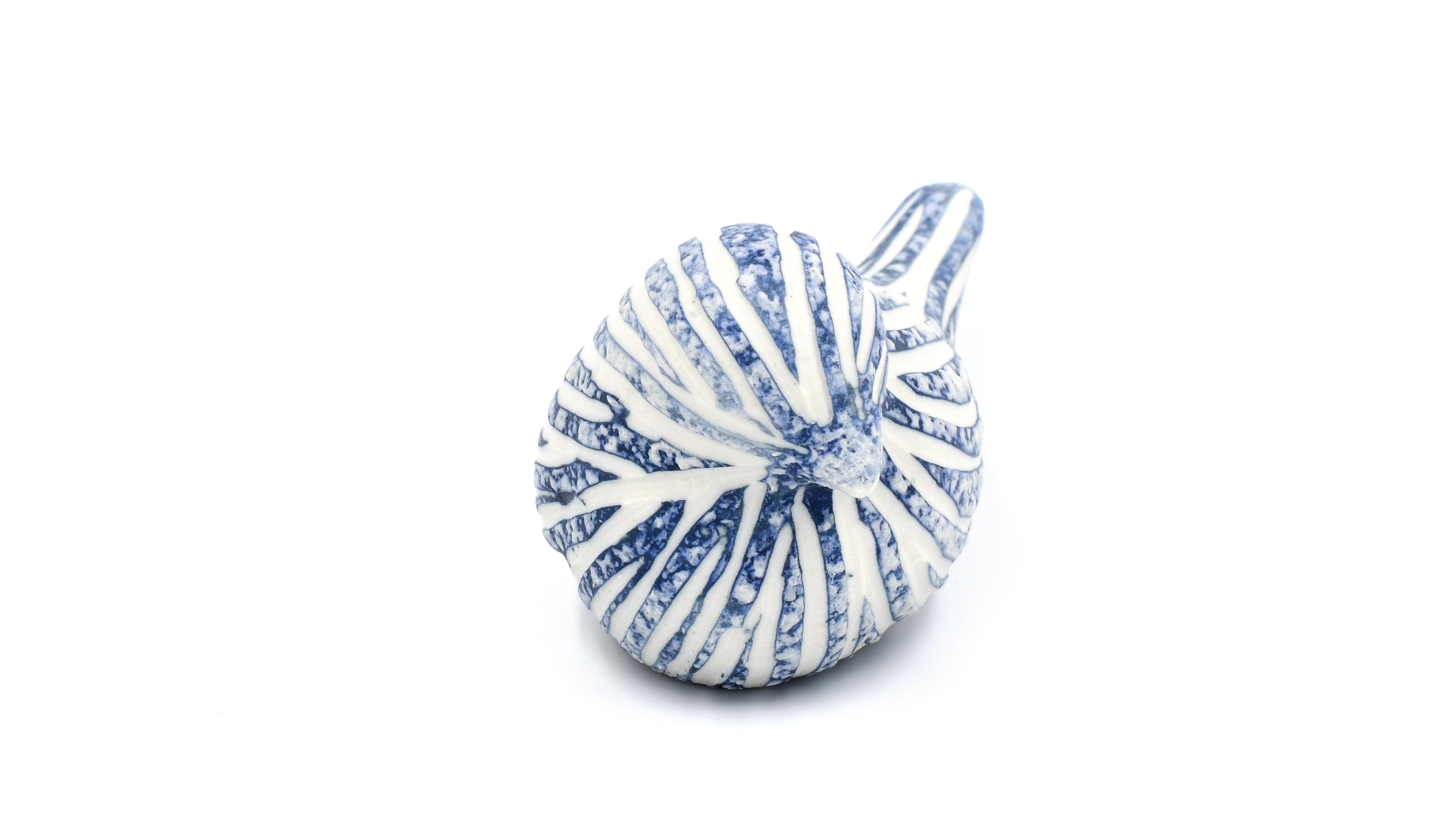 D301W16BLUE