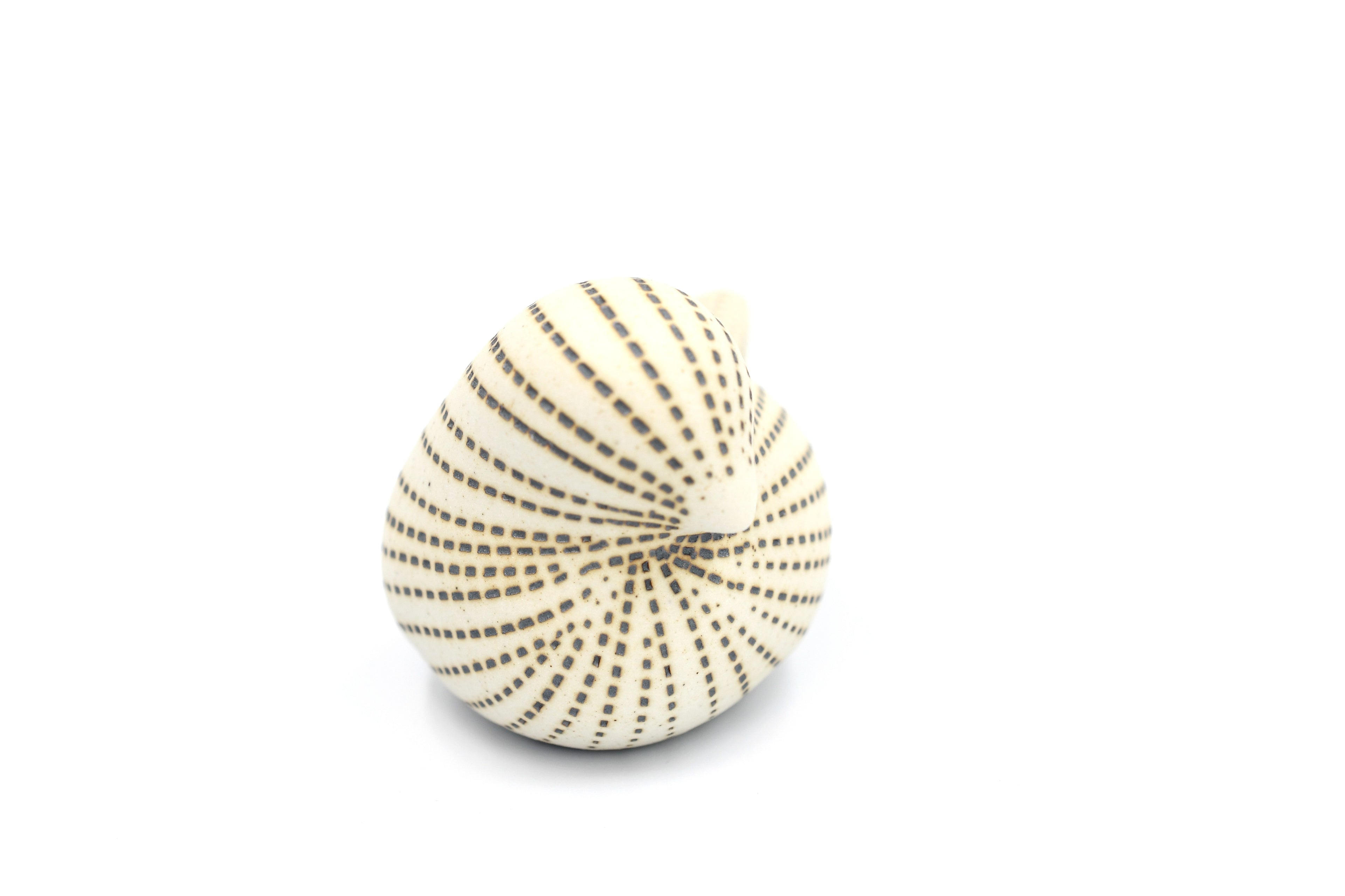D301W23