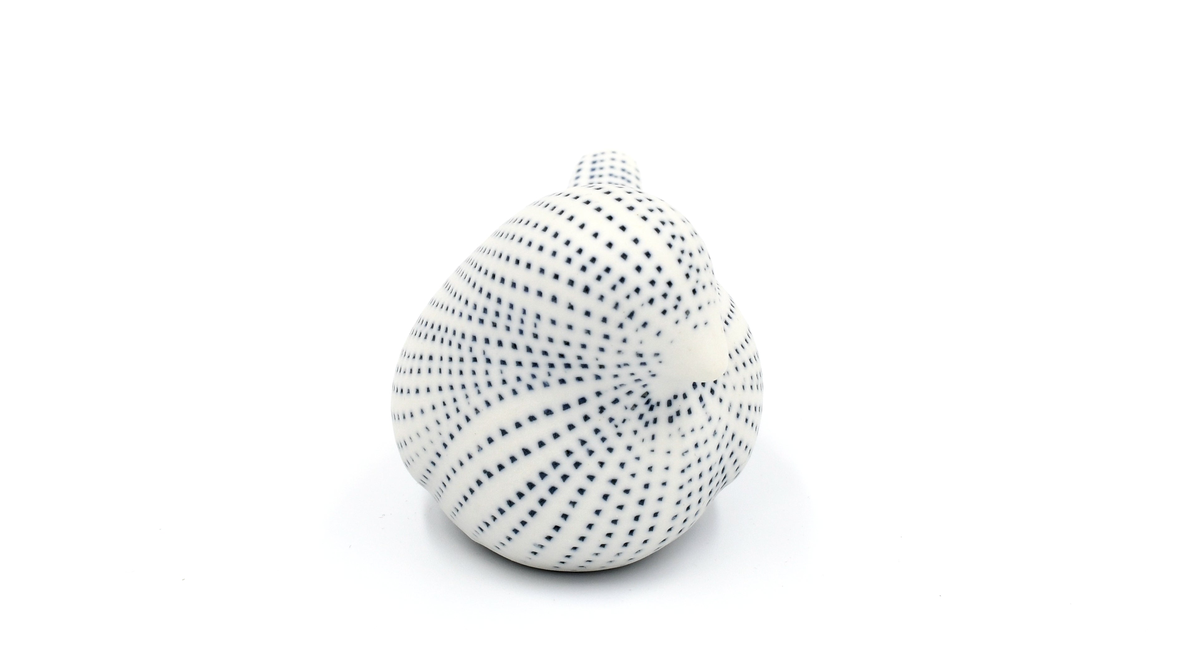D301W26