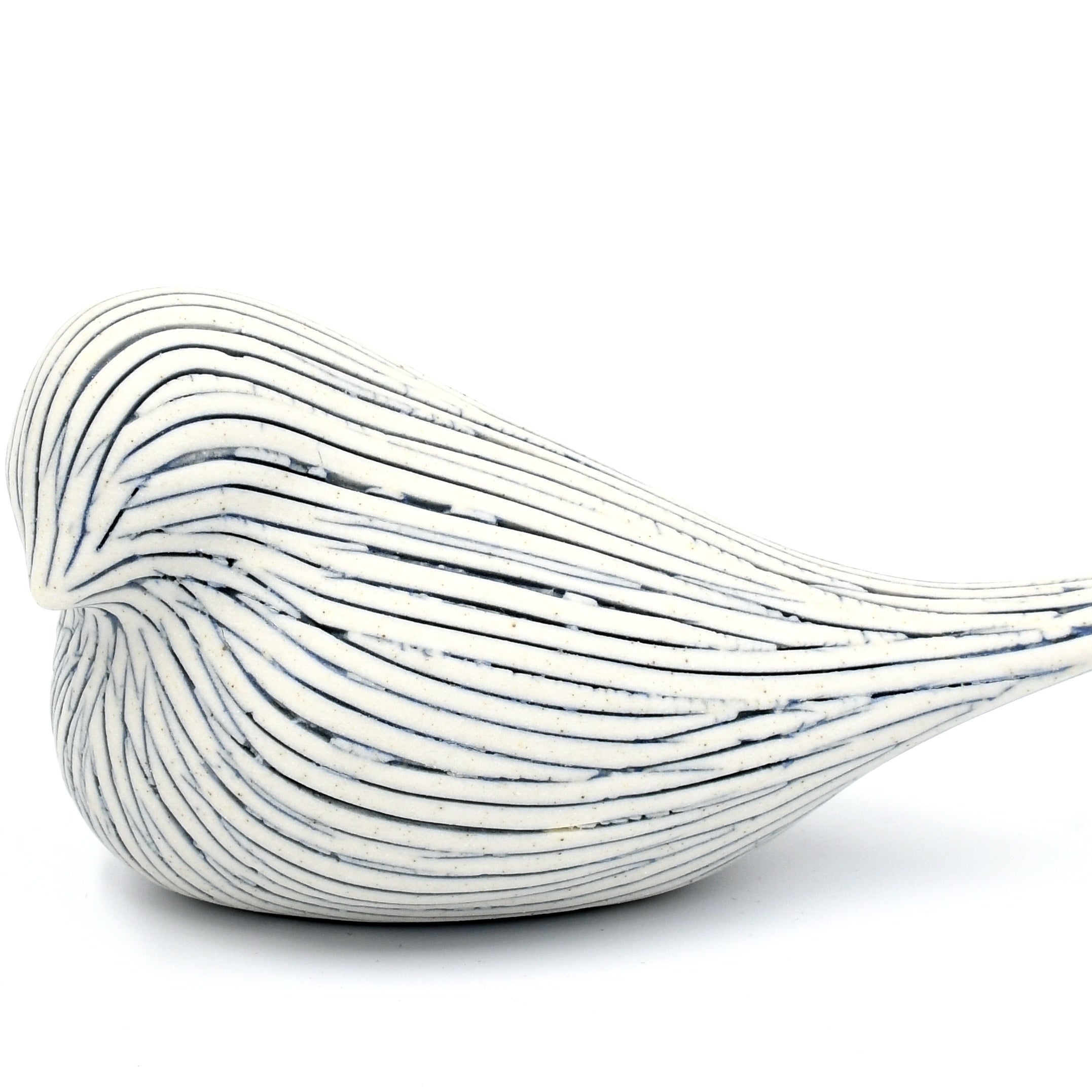 D301W27