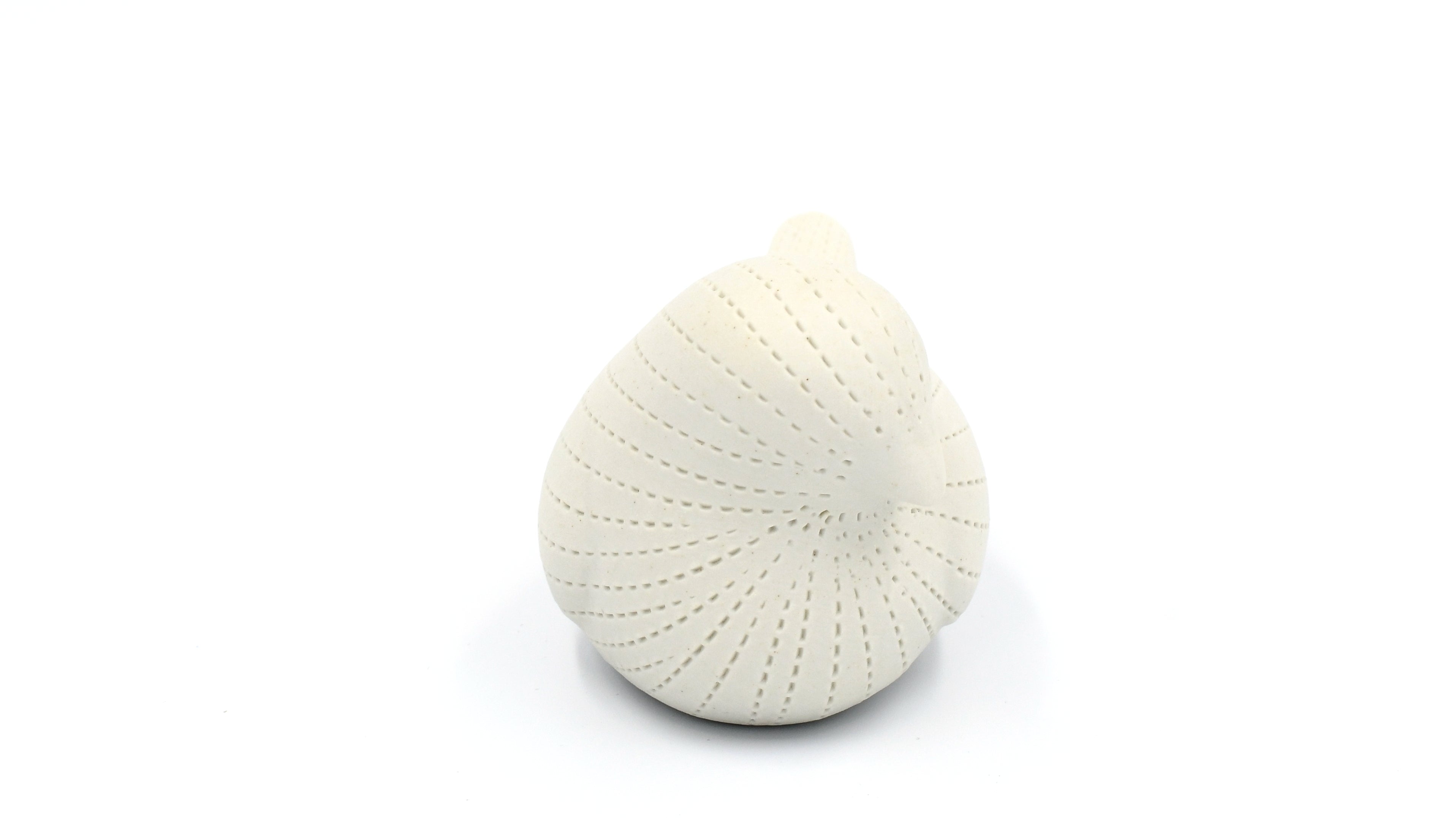 D301WH13