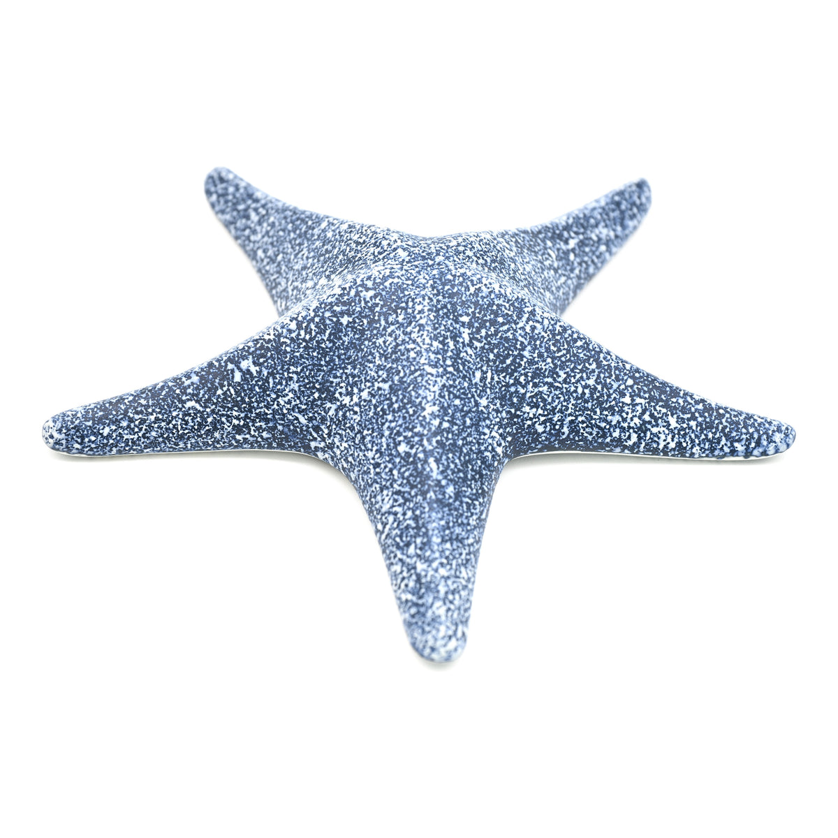 D543W15BLUE