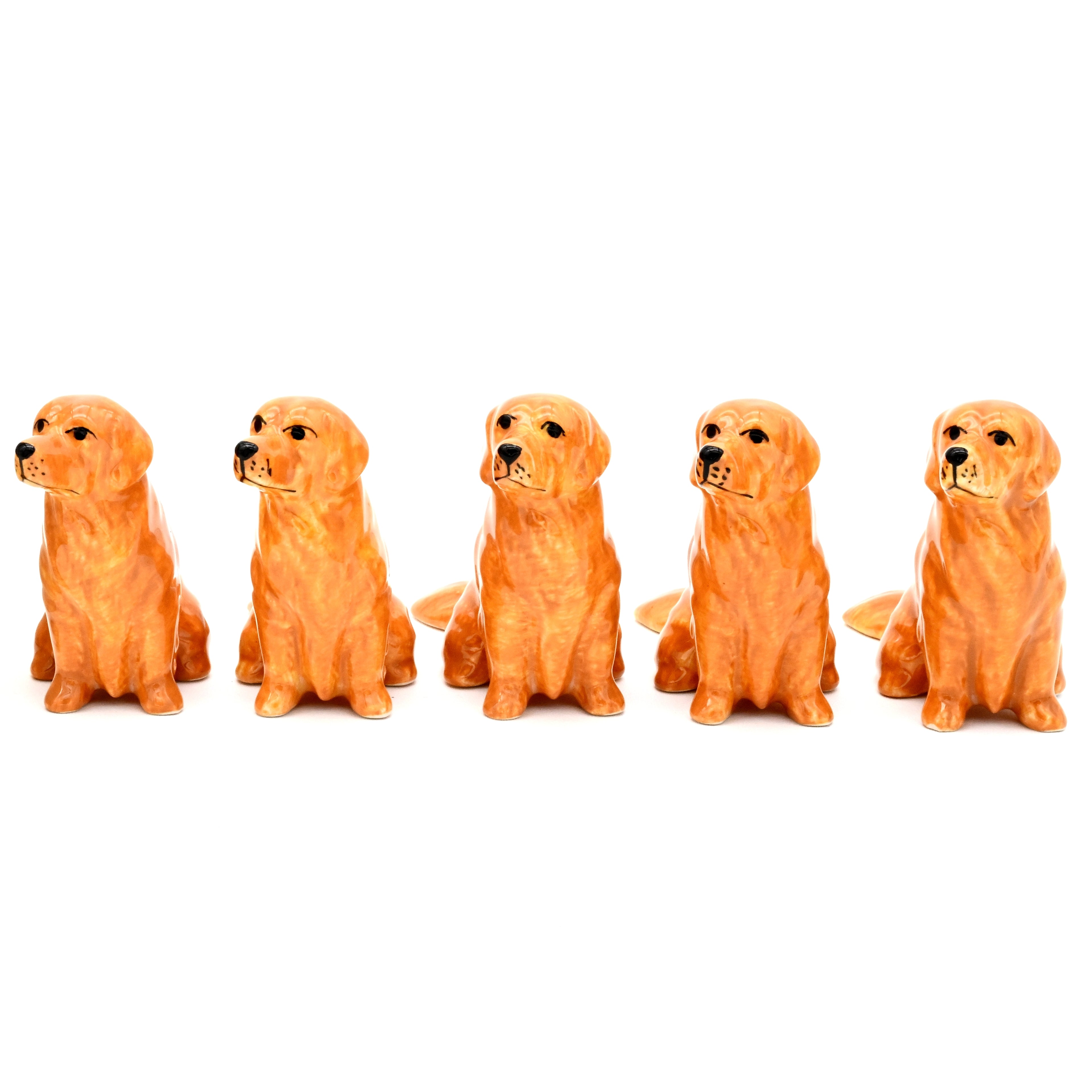 MiniS137D