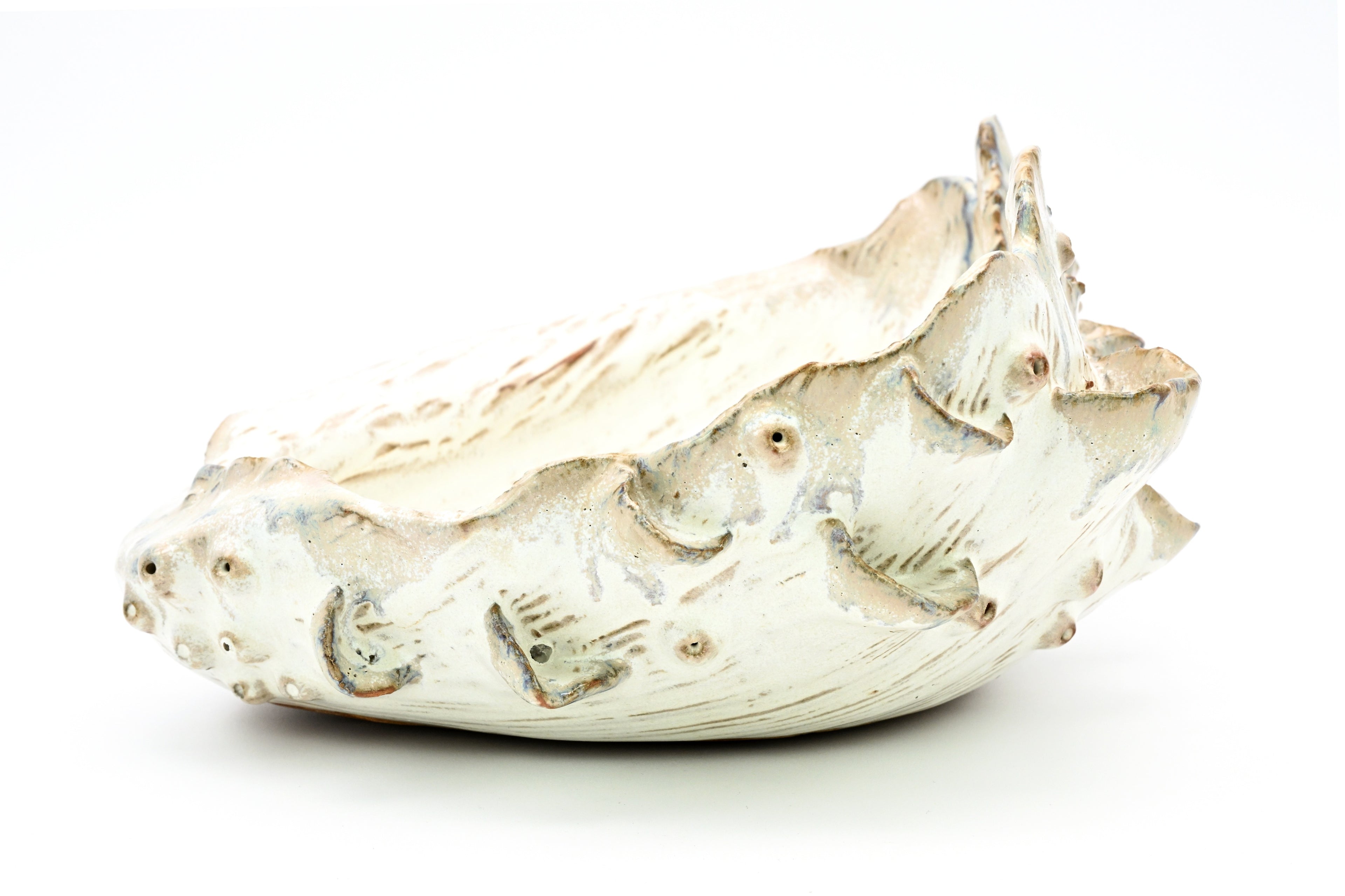 SRI202EFFP