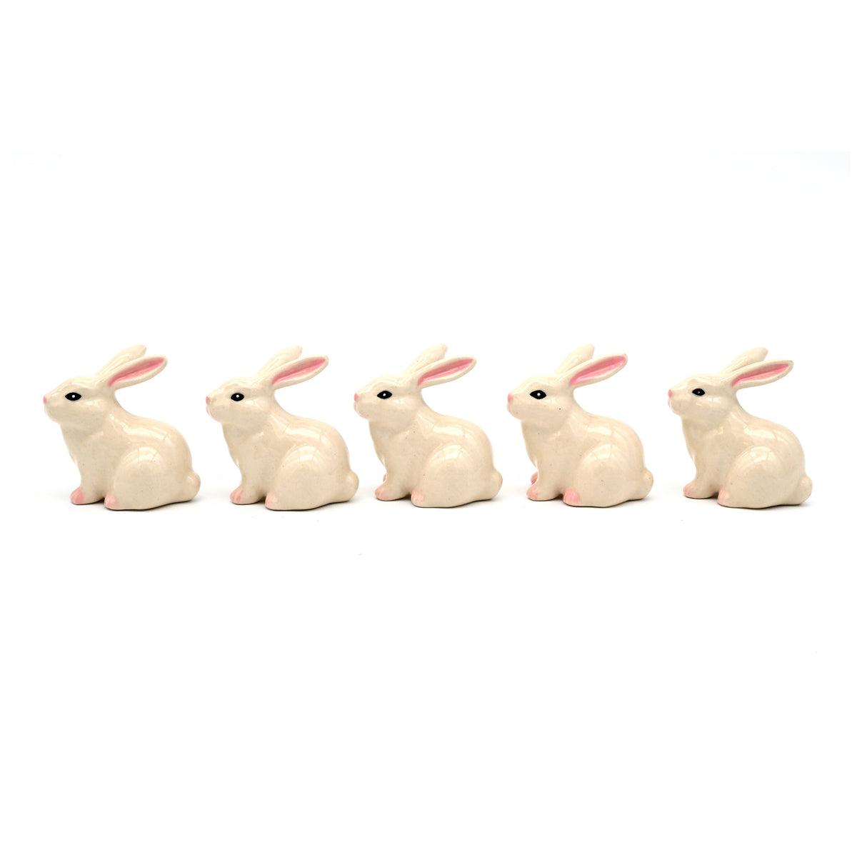 MiniS219-2D